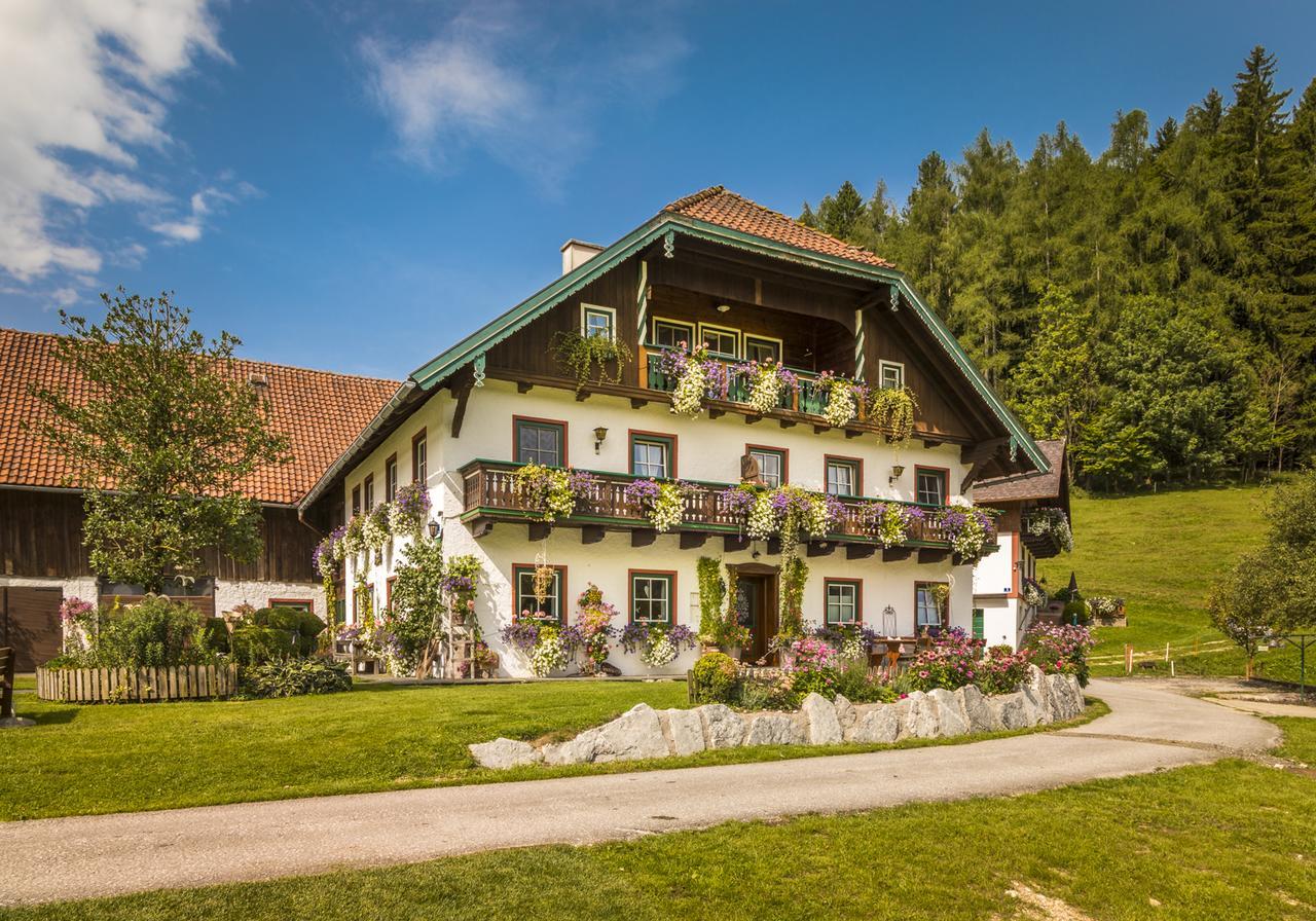Wohlfuehlbauernhof Bambichlhof Villa Fuschl am See Eksteriør bilde