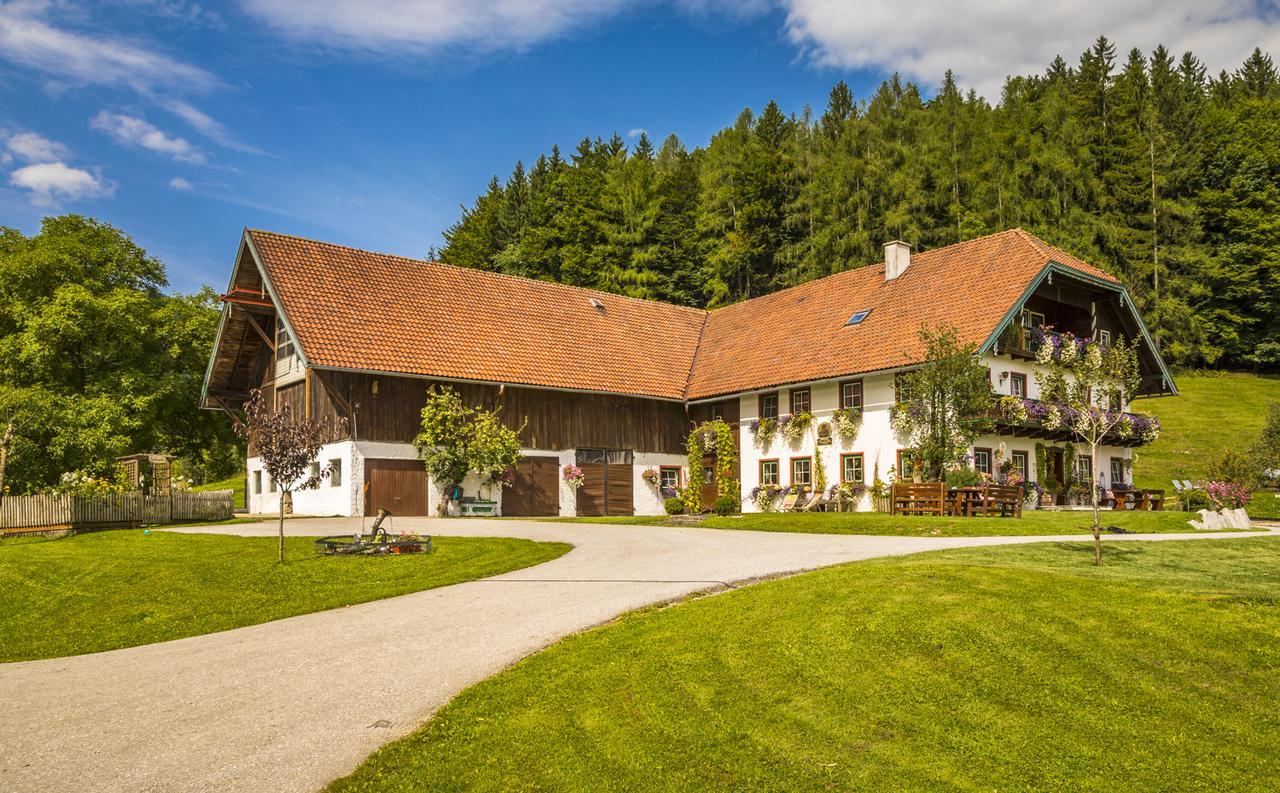 Wohlfuehlbauernhof Bambichlhof Villa Fuschl am See Eksteriør bilde